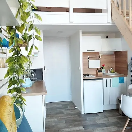 Apartment Le Cosy De La Corniche D'or